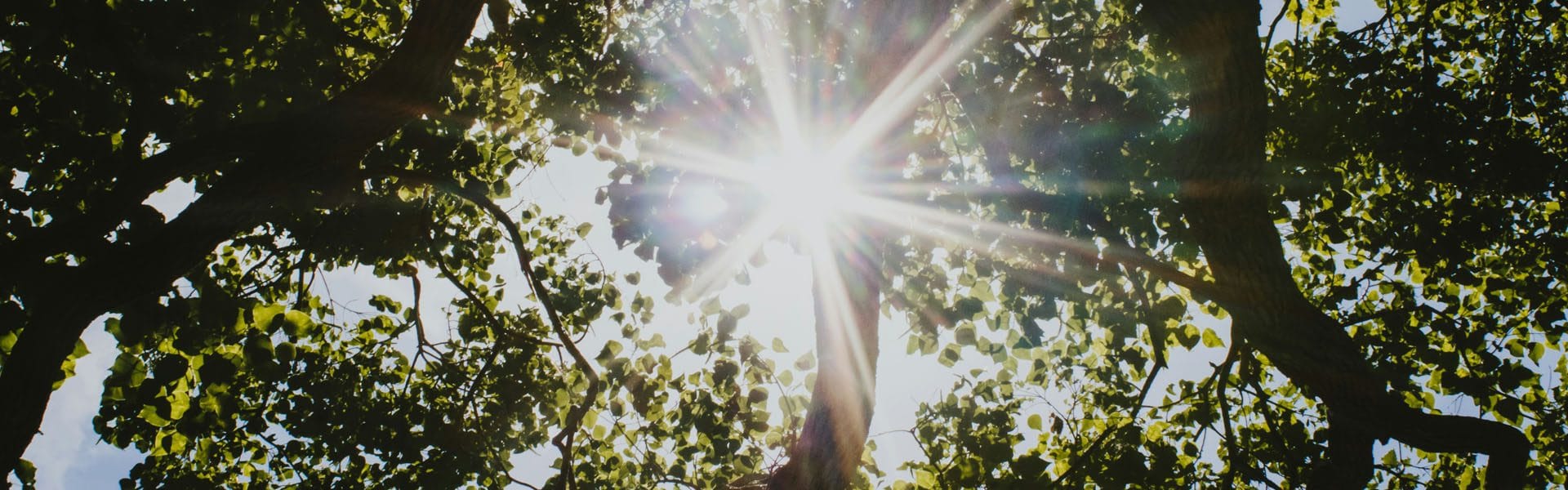 sunlight_SupportCounselling Sunset - Supportive Counselling York Counselling & Psychotherapy in York Face‑to‑Face & Online