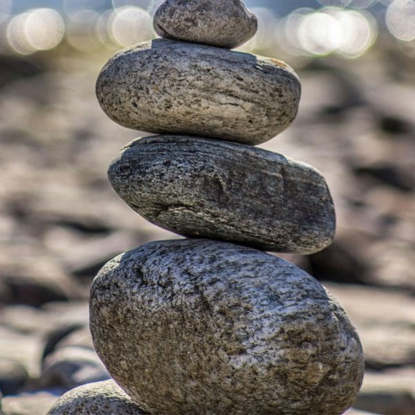 Adult therapy in a calm, reflective therapeutic environmen