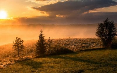 What Is Neurodivergent Burnout? Understanding ADHD and Autistic Burnout