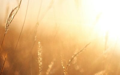What Neurodivergent Affirming Therapy Looks Like in Practice