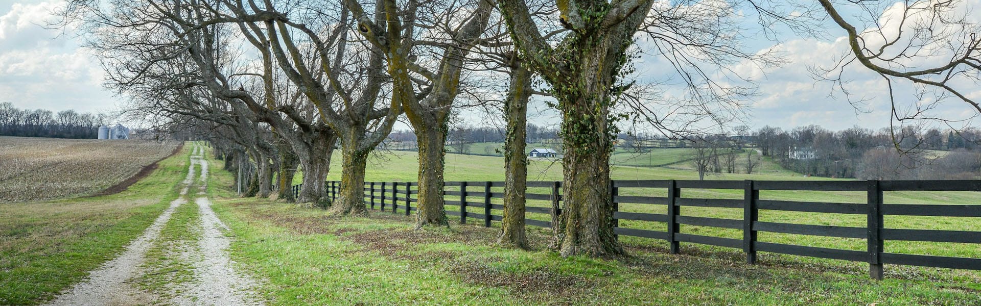 Quiet country path leading forward, representing life’s journey, supported by a counsellor York or therapist near me through counselling and private therapy