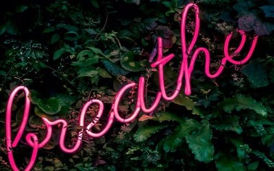Square Breathing for Stress Relief  A Simple Tool for Calm