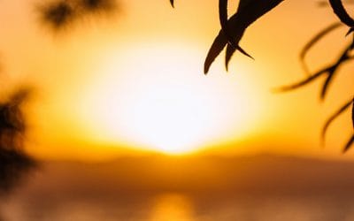 How Couples Counselling Can Help You Reconnect and Communicate Better
