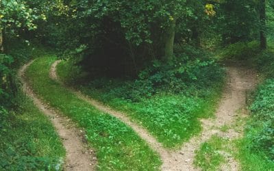Separation, Divorce and Relationship Break‑Ups: How We Can Help You Feel Whole Again
