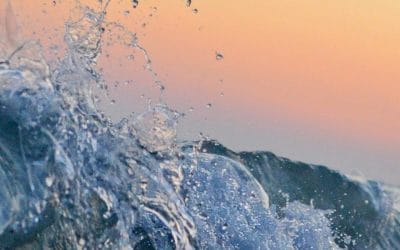 What Trauma Really Is | You Don’t Have to Remember Everything