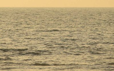 What Is Masking? Understanding Neurodivergent Masking
